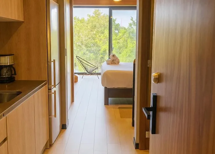 Heushaven Ph Private Pool & Padel Tuk Hotel Tulum